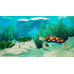 Mythic Ocean (Limited Run) [английская версия] Nintendo Switch