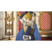 Fire Emblem Warriors [английская версия] Nintendo Switch